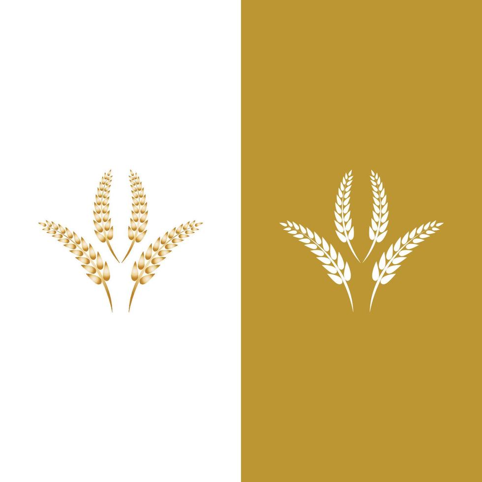 Wheat logo vector icon illustration