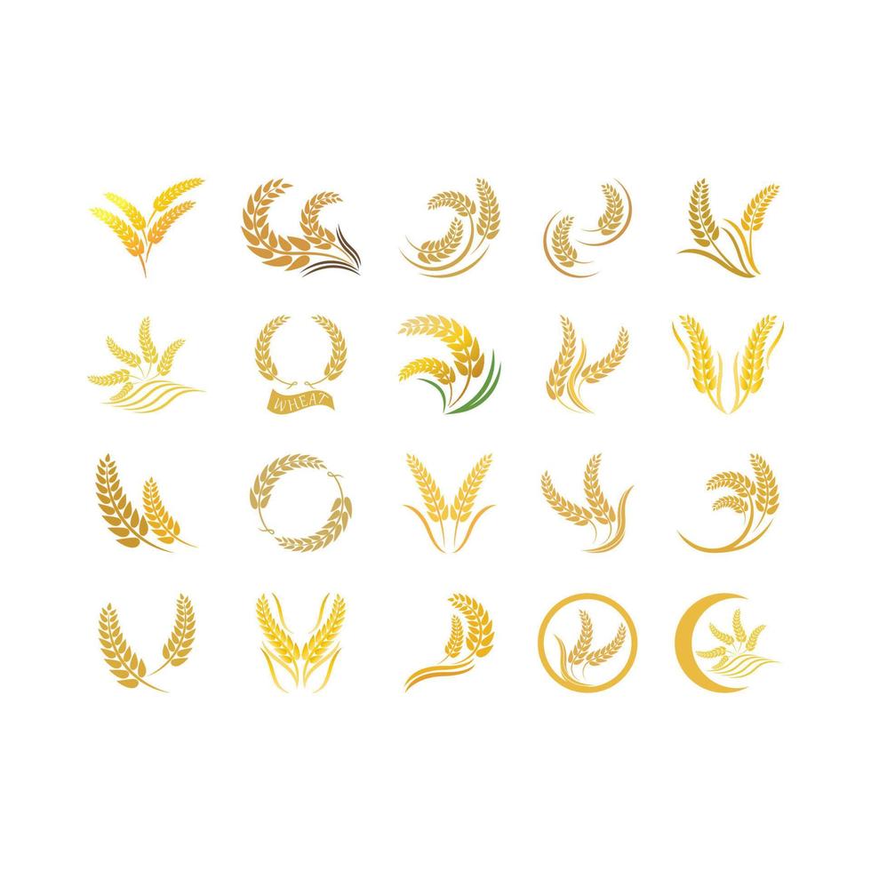 Wheat logo vector icon illustration