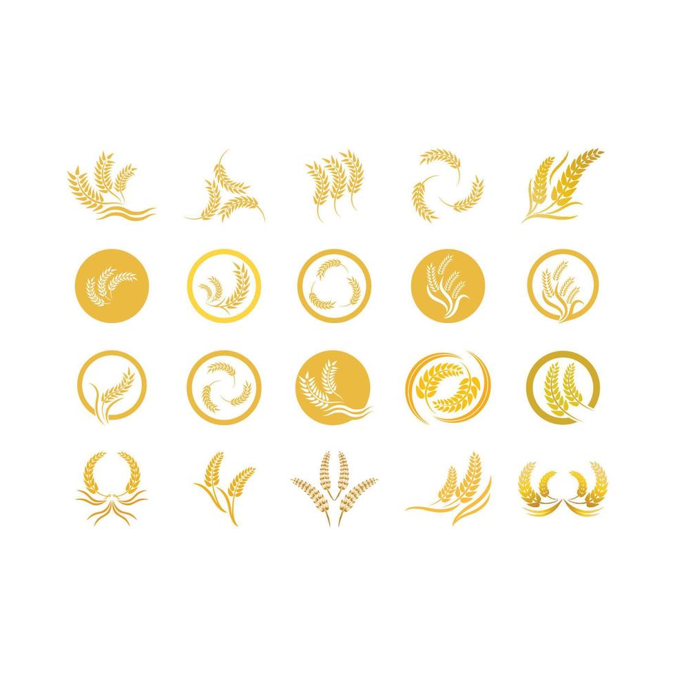 Wheat logo vector icon illustration