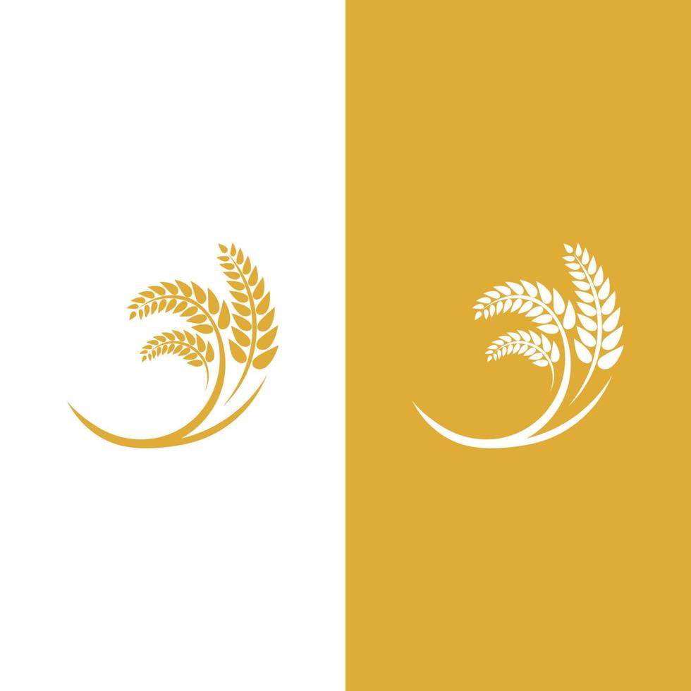 Wheat logo vector icon illustration