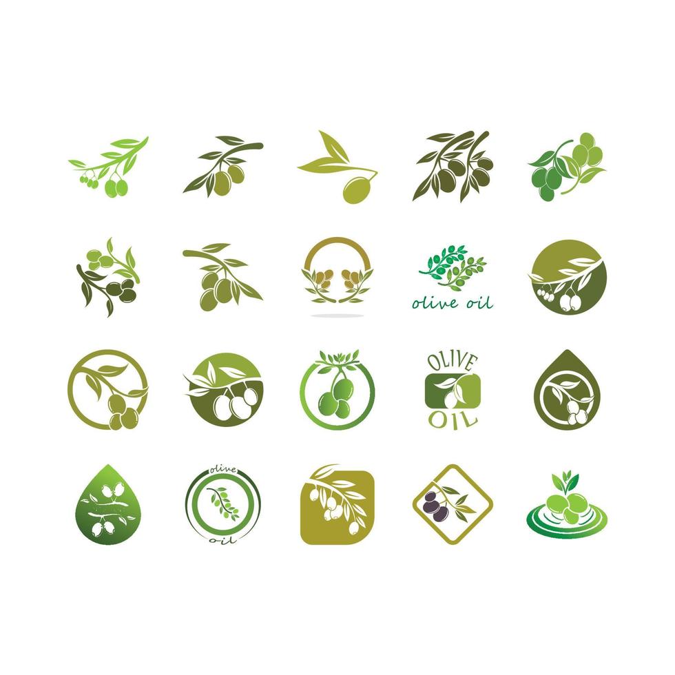 olive icon vector illustration