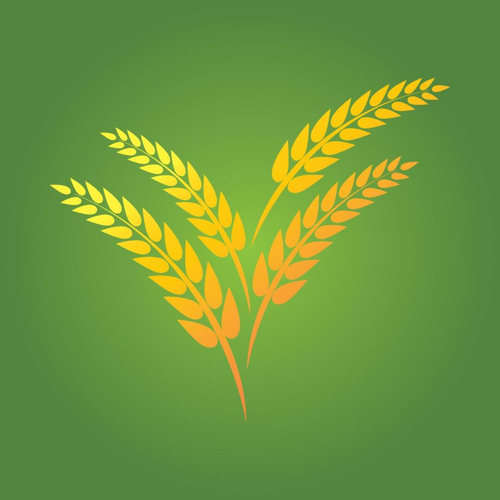 Wheat logo vector icon illustration