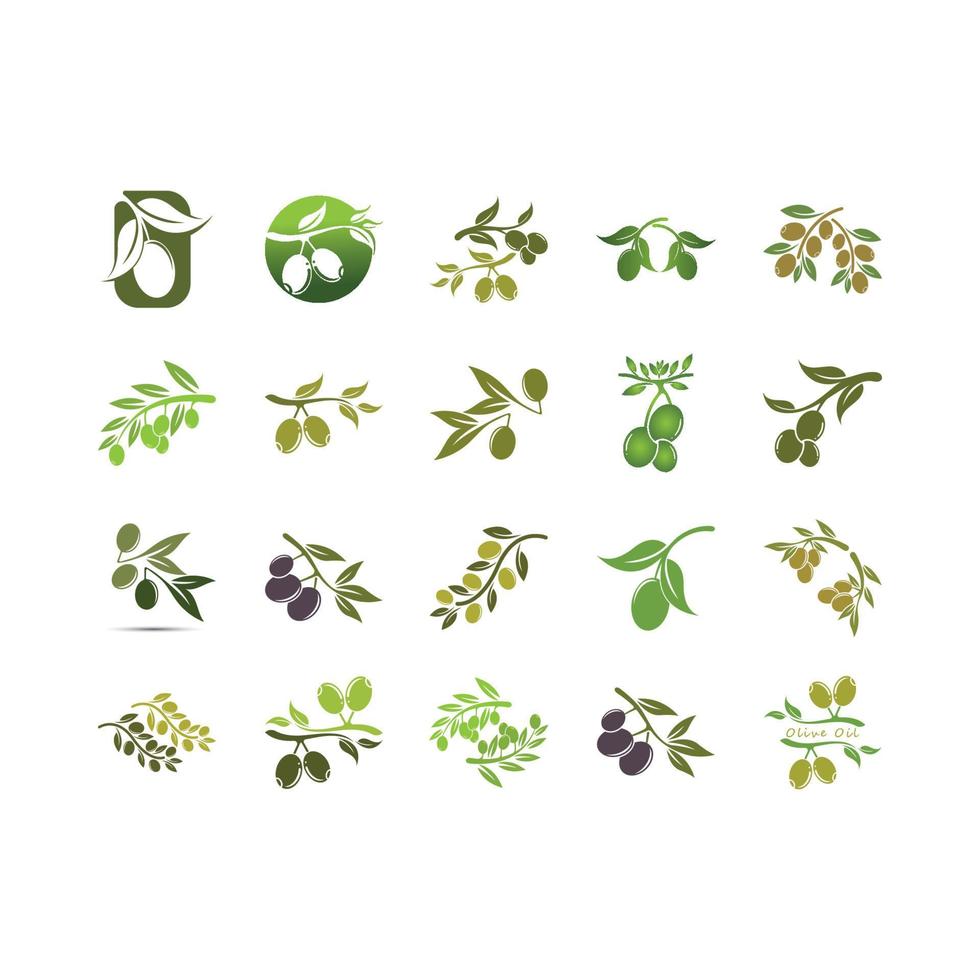 olive icon vector illustration