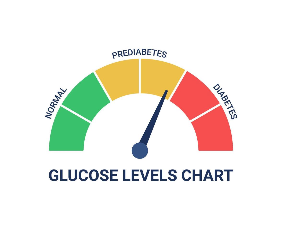 Glucose levels chart with different diagnosis normal, prediabetes and diabetes. Blood sugar test, insulin control diagnosis. High blood glucose level. Health risk with excessive sweets. Vector