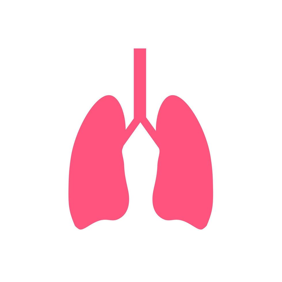 Human lungs vector icon.