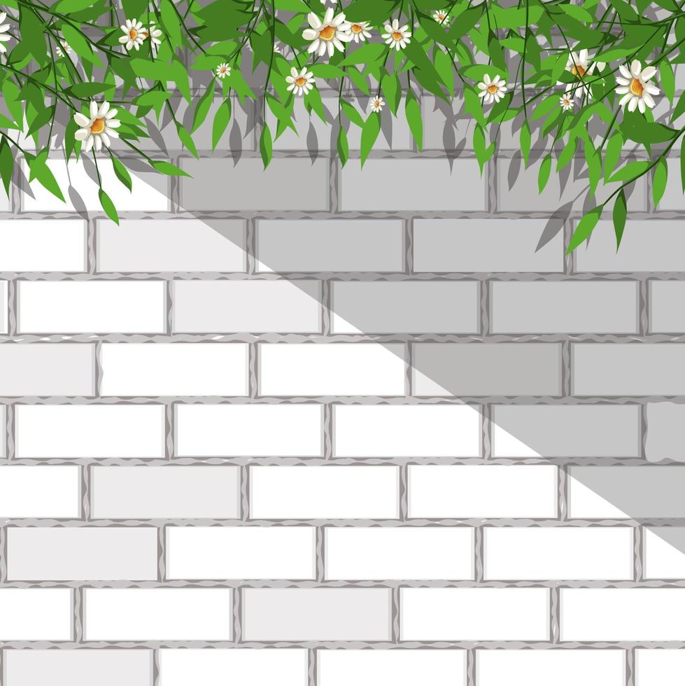 ilustración de fondo de pared y planta vector