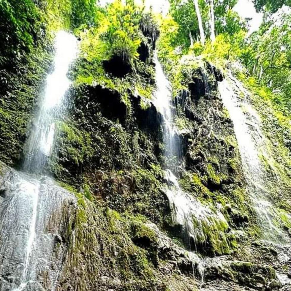Beautiful and fresh nature with beautiful waterfalls photo