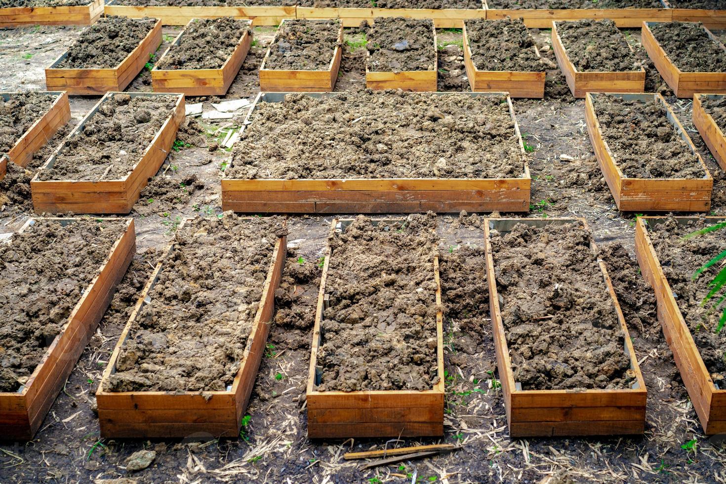 el suelo en maceta rectangular se prepara para plantar vegetales de cosecha propia en el jardín. foto