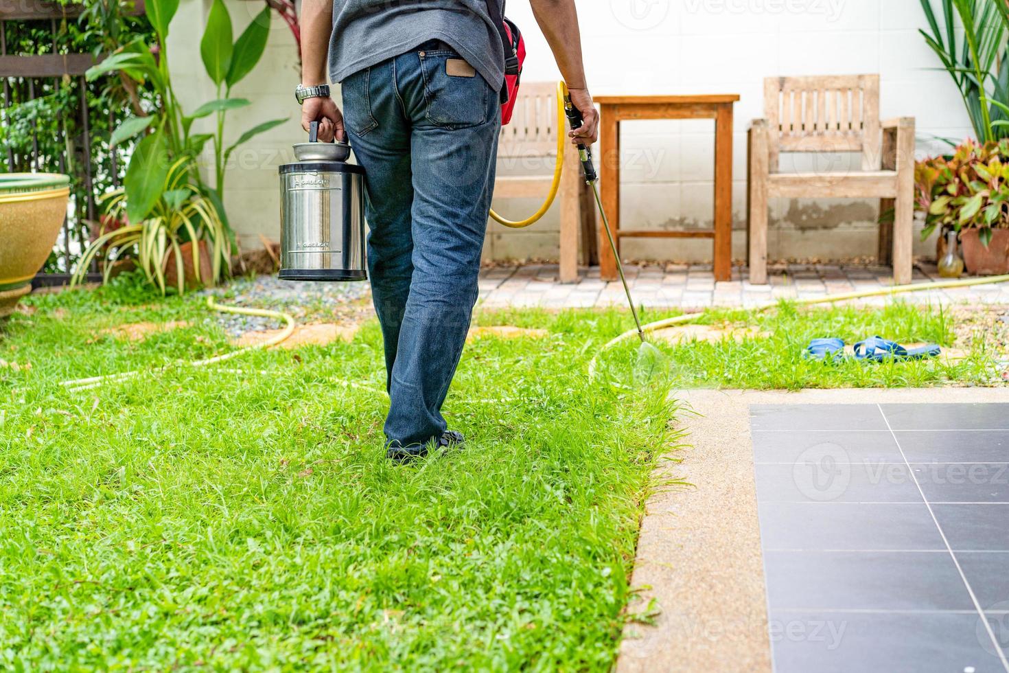 Asian Thailand termite staff company is spraying the destroy chemical liquid in to white ant nest in the wood around human house. photo