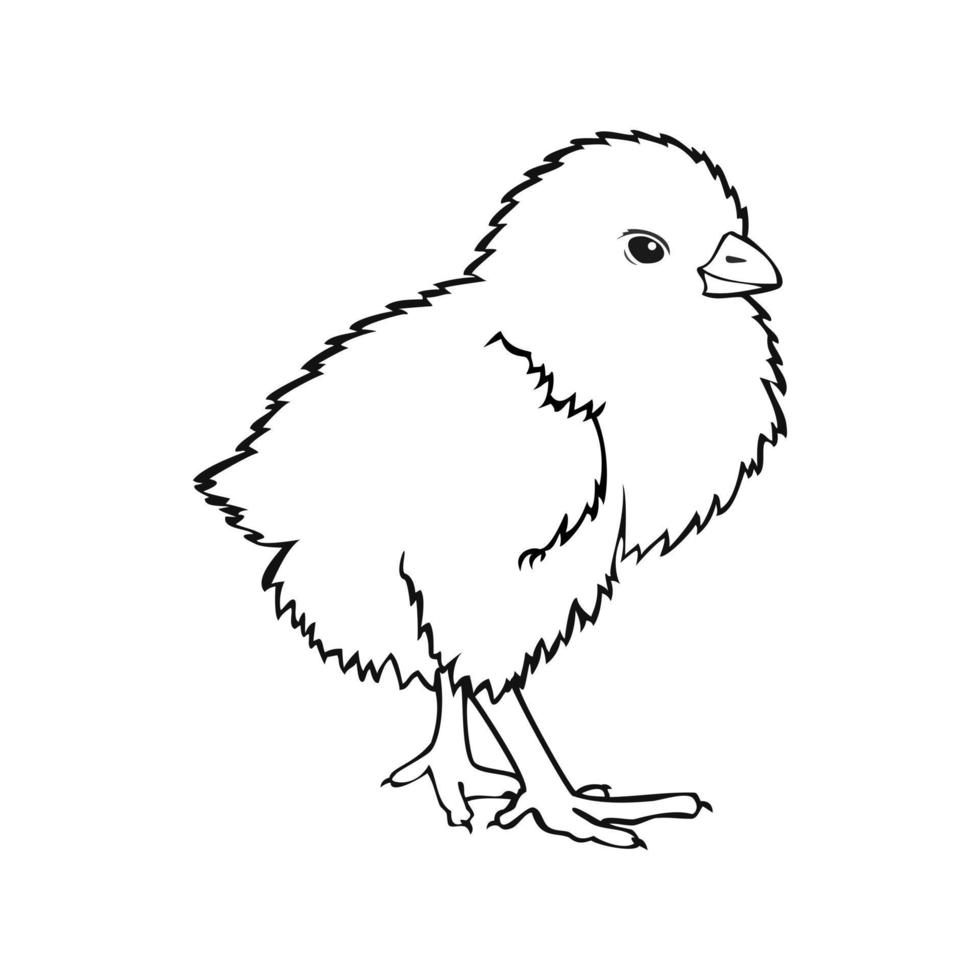 Pollito esponjoso, imagen monocromática, ilustración vectorial en un fondo blanco. vector