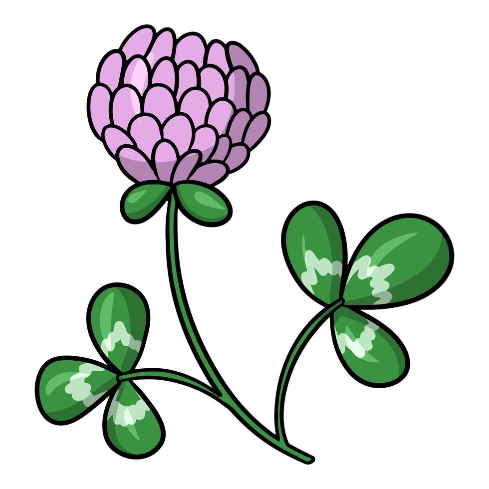 Pink clover flower with leaves, flower for collecting honey, vector illustration in cartoon style on a white background