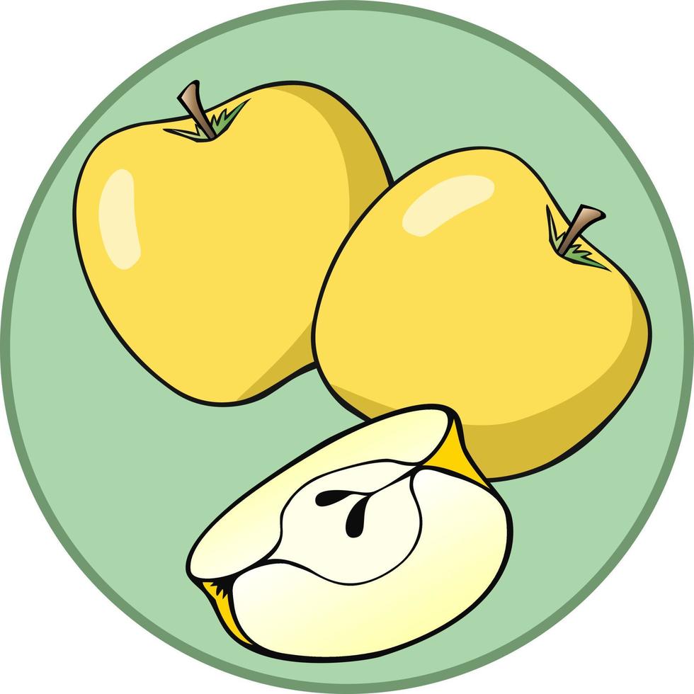 Vector illustration. Card juicy yellow apples with slices on a green round background