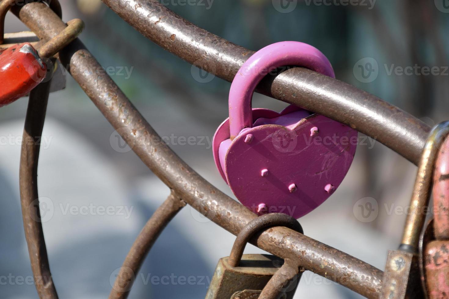 Love padlocks on the fence of the iron fence in the park photo