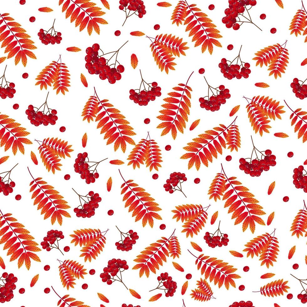 seamless pattern autumn rowan branch with fruits vector