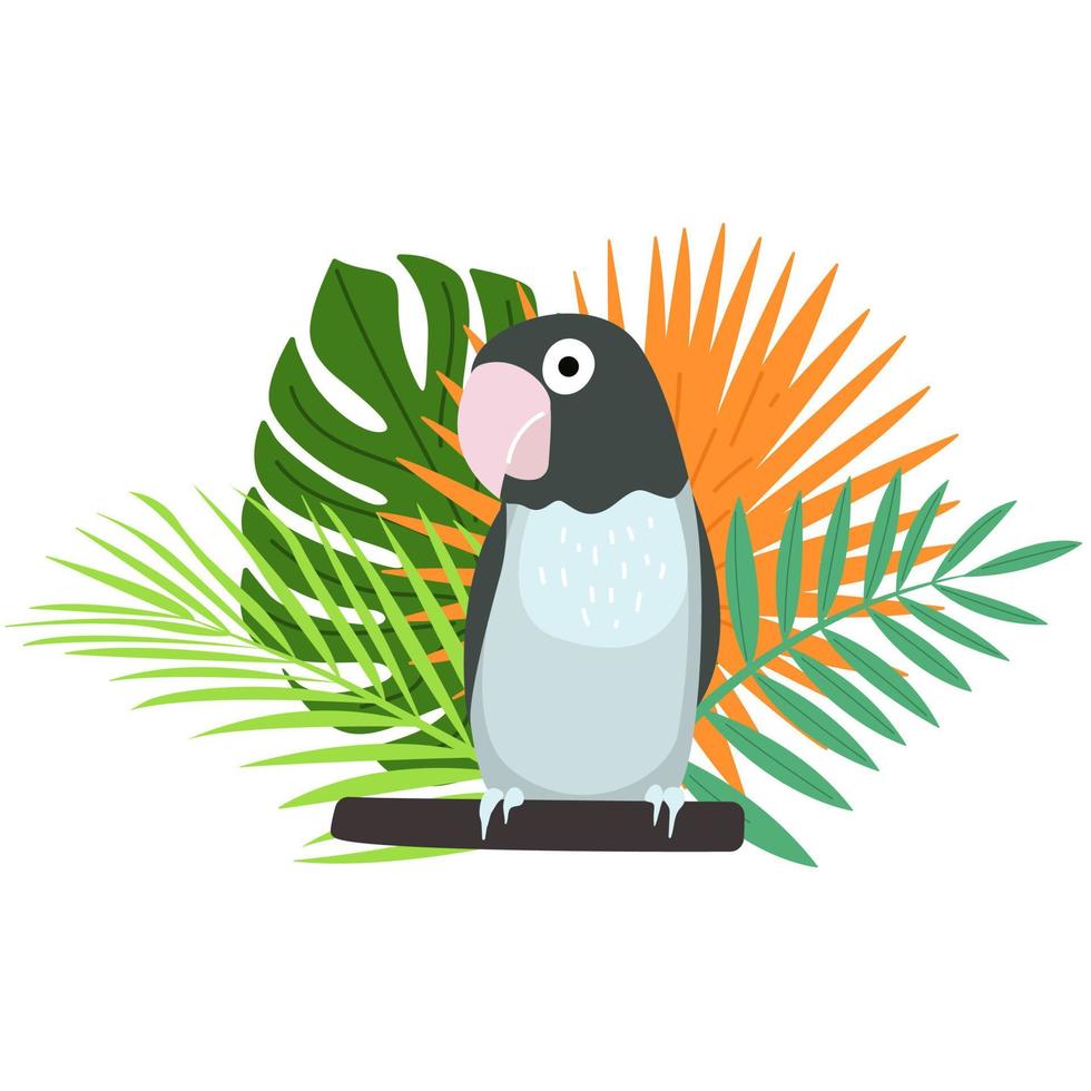 Ilustraciones de loros animados vector