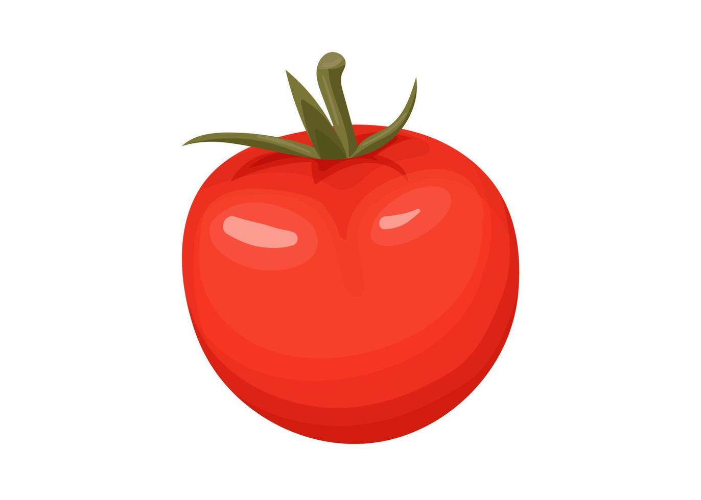 ilustración vectorial de tomate fresco vector