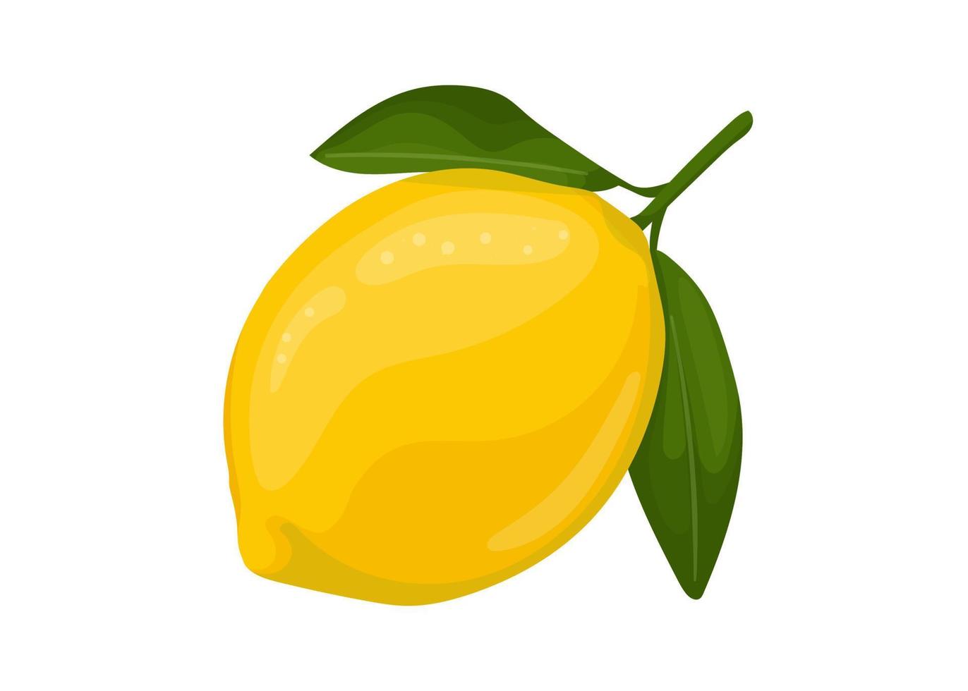 lemon isolated on white background, lemon vector illustration