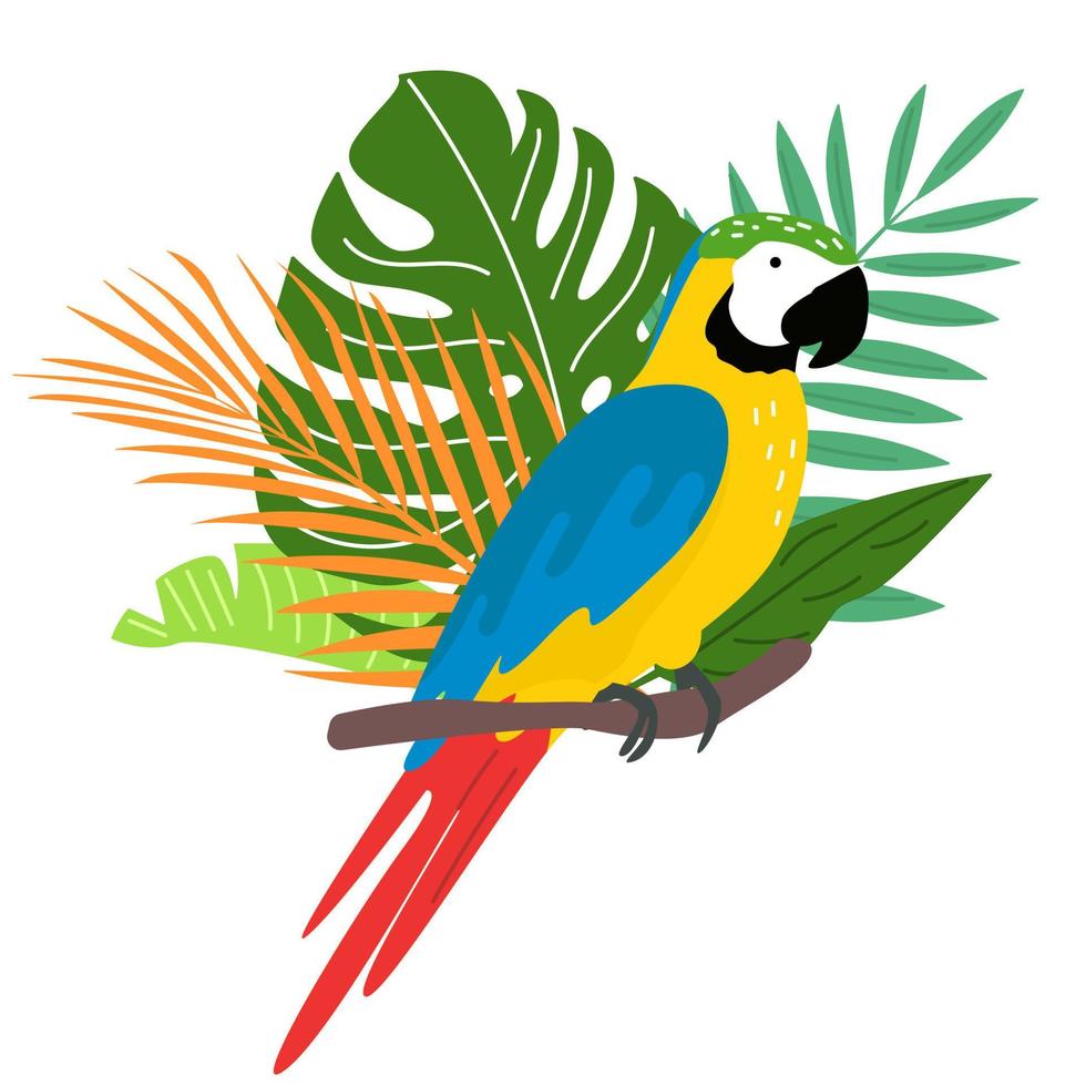 Ilustraciones de loros animados vector