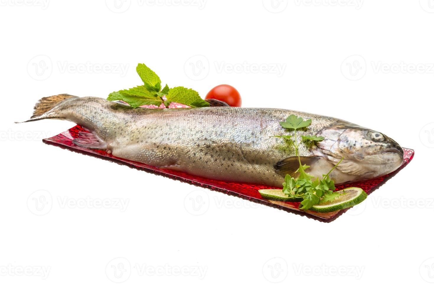 Fresh raw rainbow trout photo