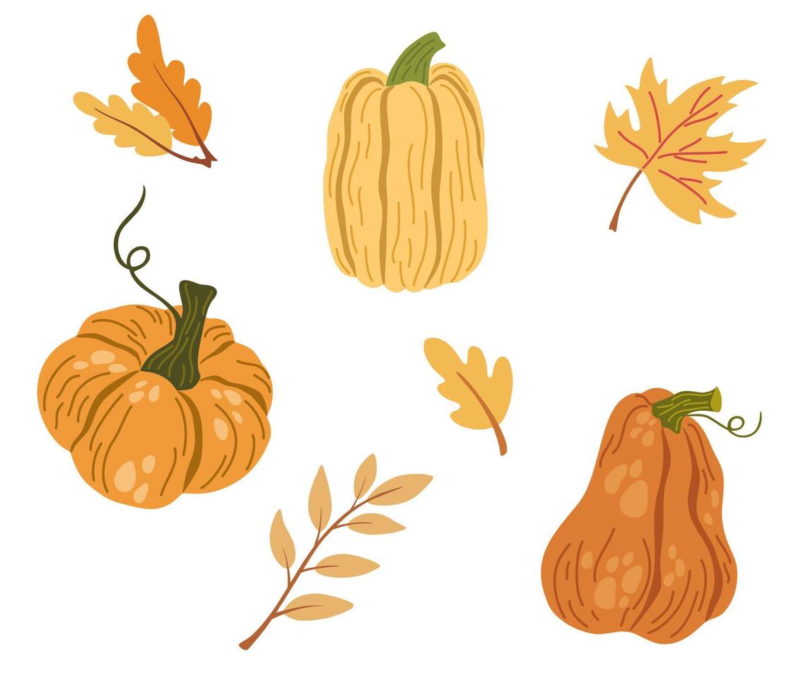 conjunto de calabazas y hojas de otoño. formas de calabaza con hojas, la mitad con semillas y rodajas. decoración de otoño, otoño, acción de gracias y halloween. ilustración de dibujos animados de vector de sorteo de mano