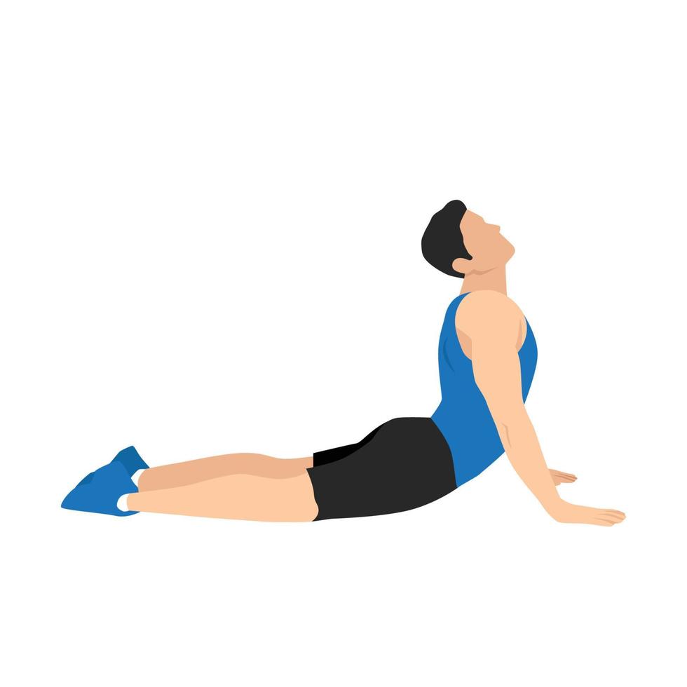 Man doing Cobra abdominal stretch. Old horse stretch. Abdominals exercise. Flat vector illustration isolated on white background. 8572879 Vector Art at Vecteezy