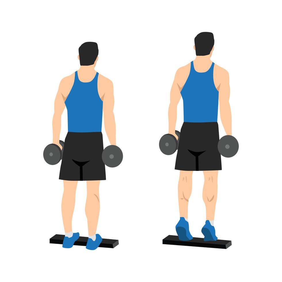 Man doing Standing dumbbell calf raises exercise. Flat vector illustration isolated on white background. Workout character set