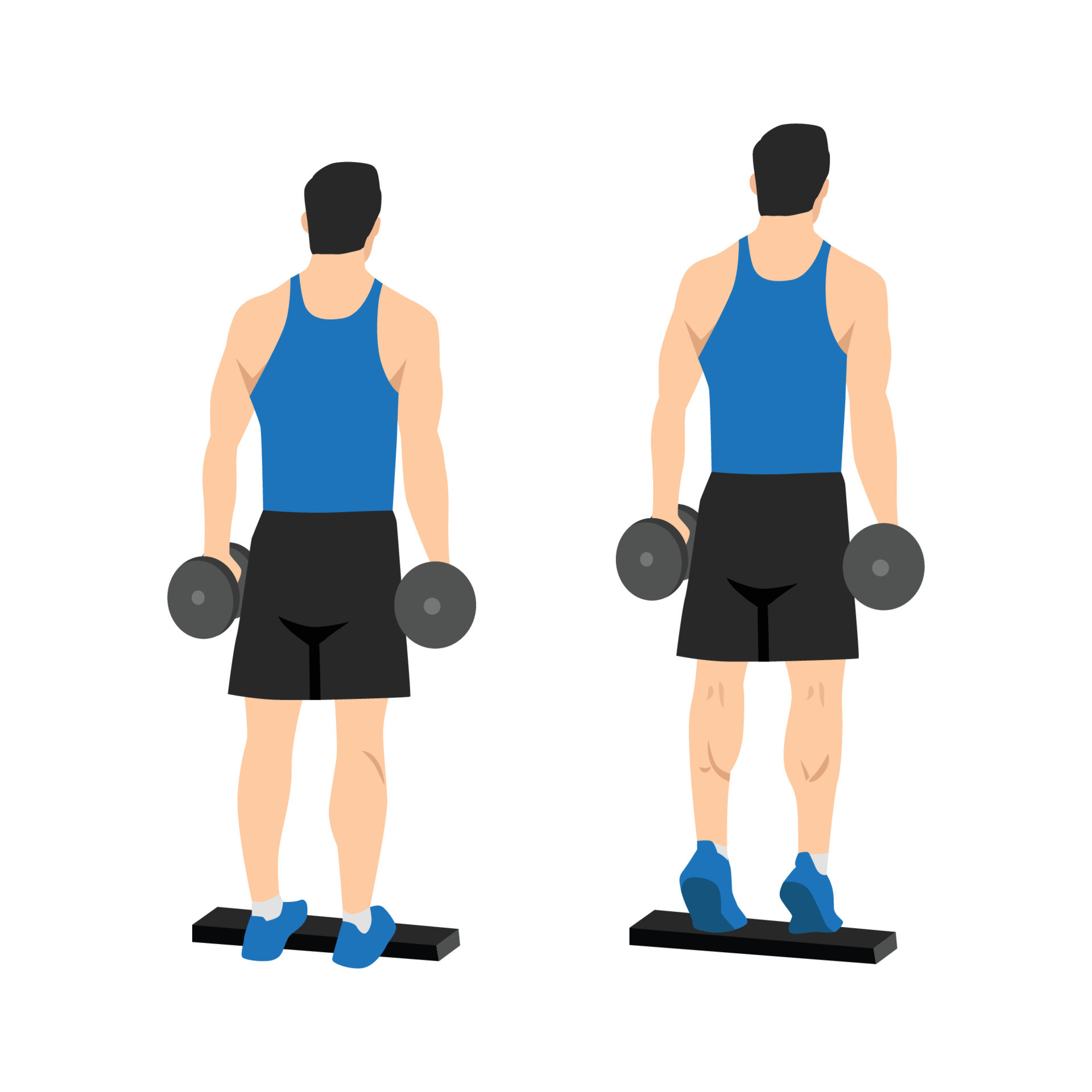 Man doing Standing dumbbell calf raises exercise. Flat vector