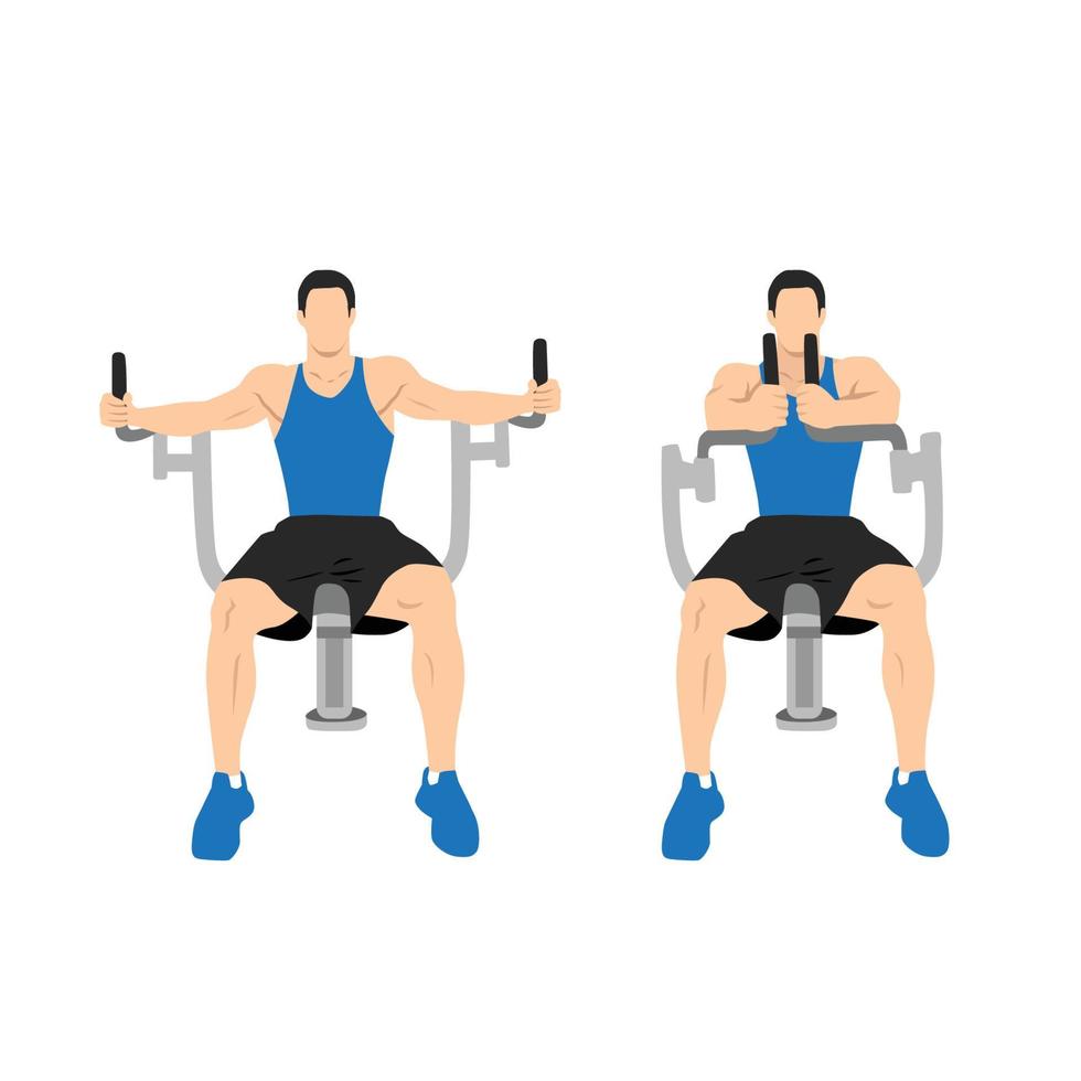 Man doing butterflies,pec deck,seated machine flyes. Flat vector illustration isolated on white background