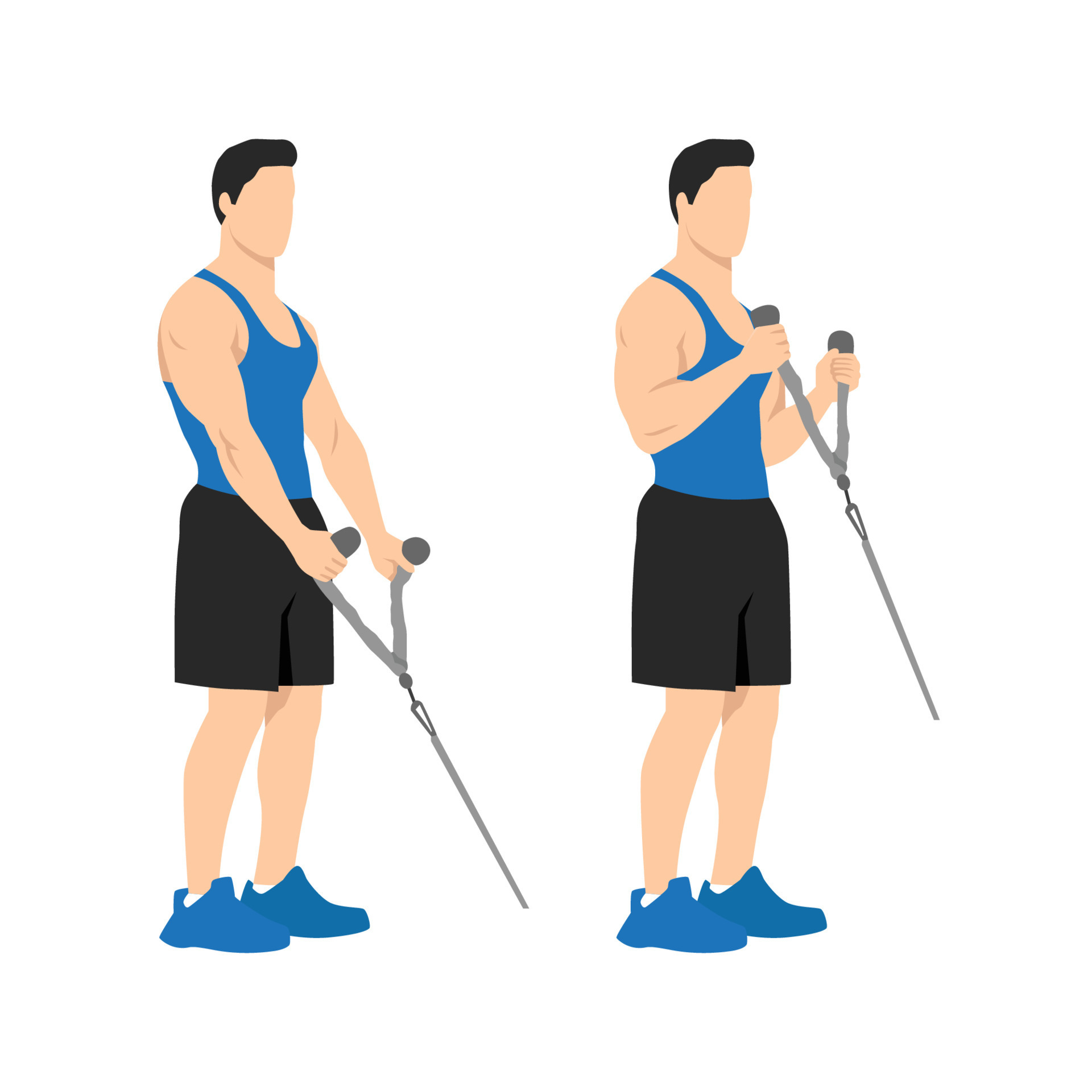 Man doing Cable hammer bicep curls exercise. Arm workout. Flat vector