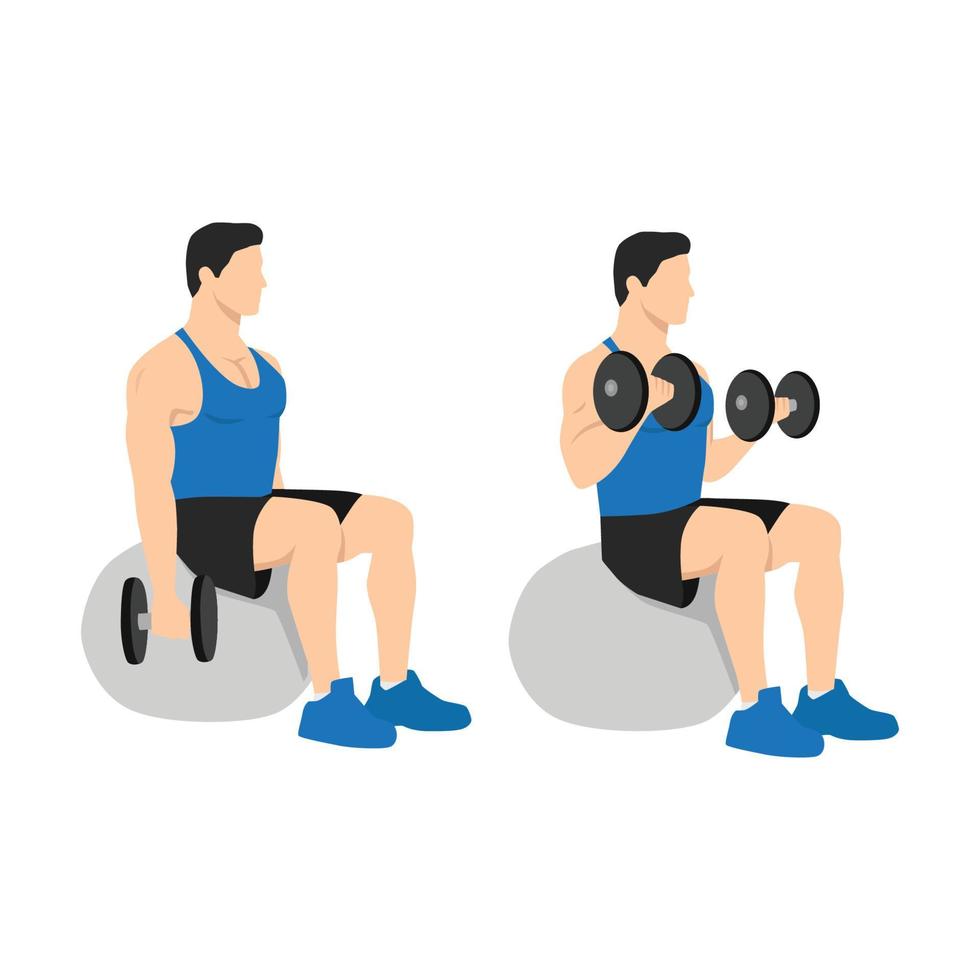 Man doing exercise Swiss ball bicep curls with dumbbell. Flat vector illustration isolated on different layer. Workout character