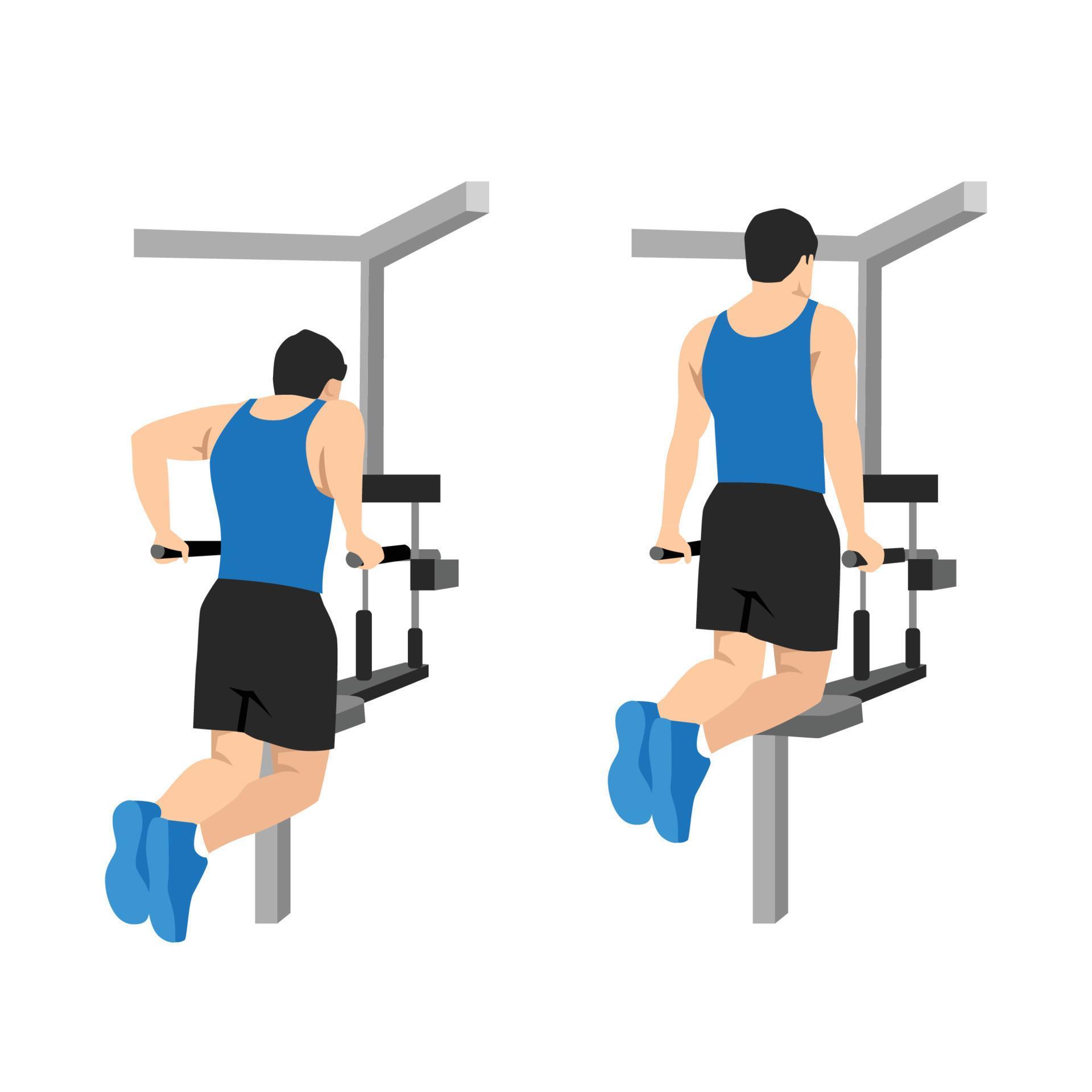 Man doing dips on parallel bars in the gym exercise. Flat vector
