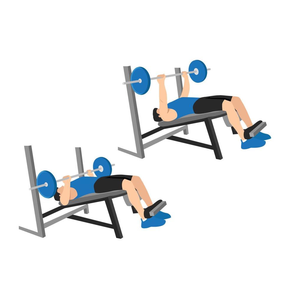 Man doing decline barbell bench press. Flat vector illustration isolated on white background