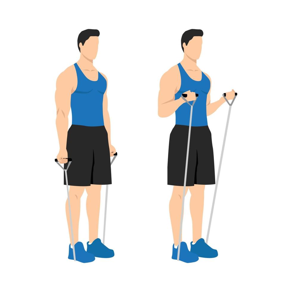 Man doing Resistance band bicep curls exercise. Arm workout. Flat vector illustration of a fitness man isolated on white background