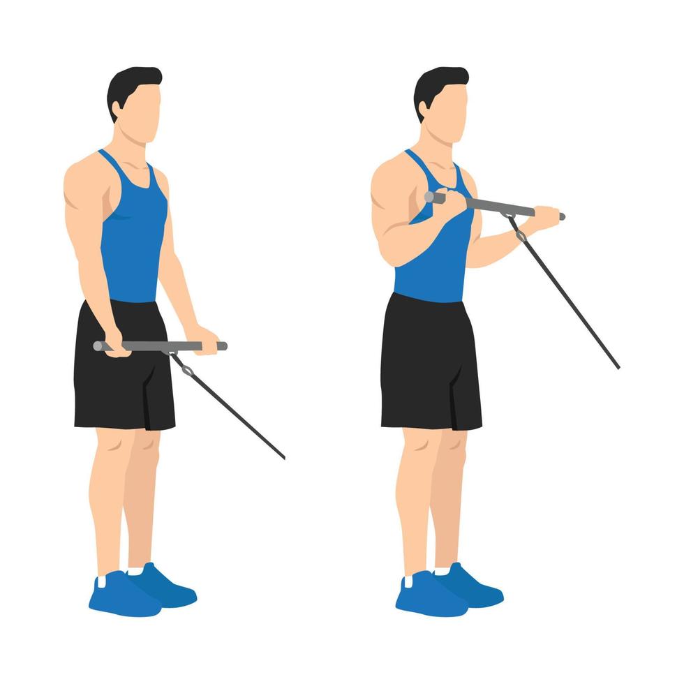 Man doing standing bicep cable curls exercise. Flat vector illustration isolated on different layer. Workout character