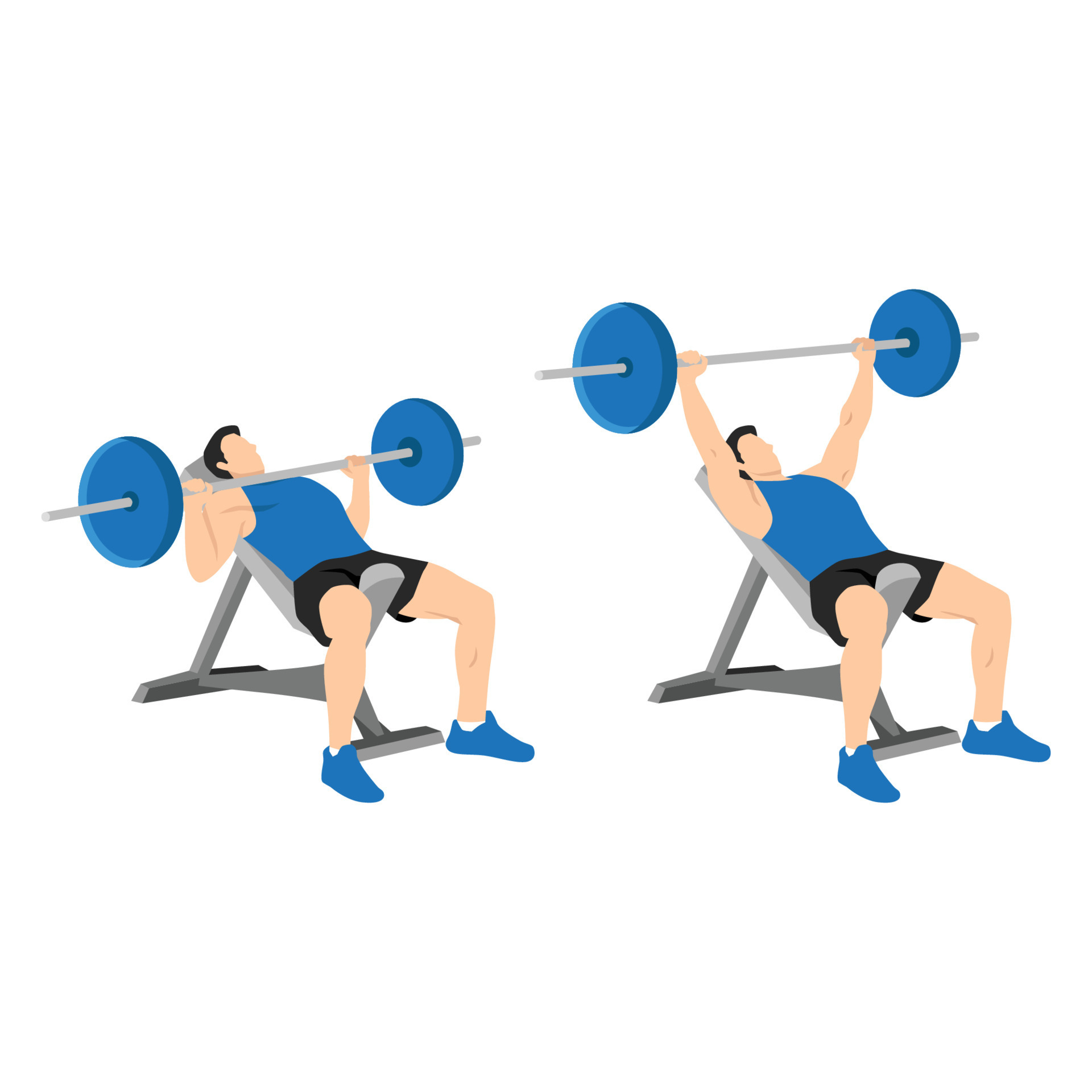 Man doing incline barbell bench press exercise. Flat vector illustration  isolated on white background. Workout character 8573060 Vector Art at  Vecteezy