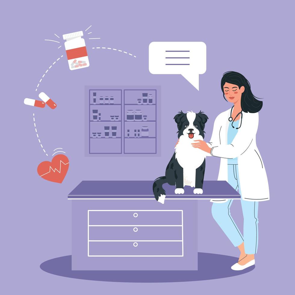 Veterinarian with dog. Female veterinary clinic worker with her pet in the background of the office. Veterinary clinic. Vector illustration.