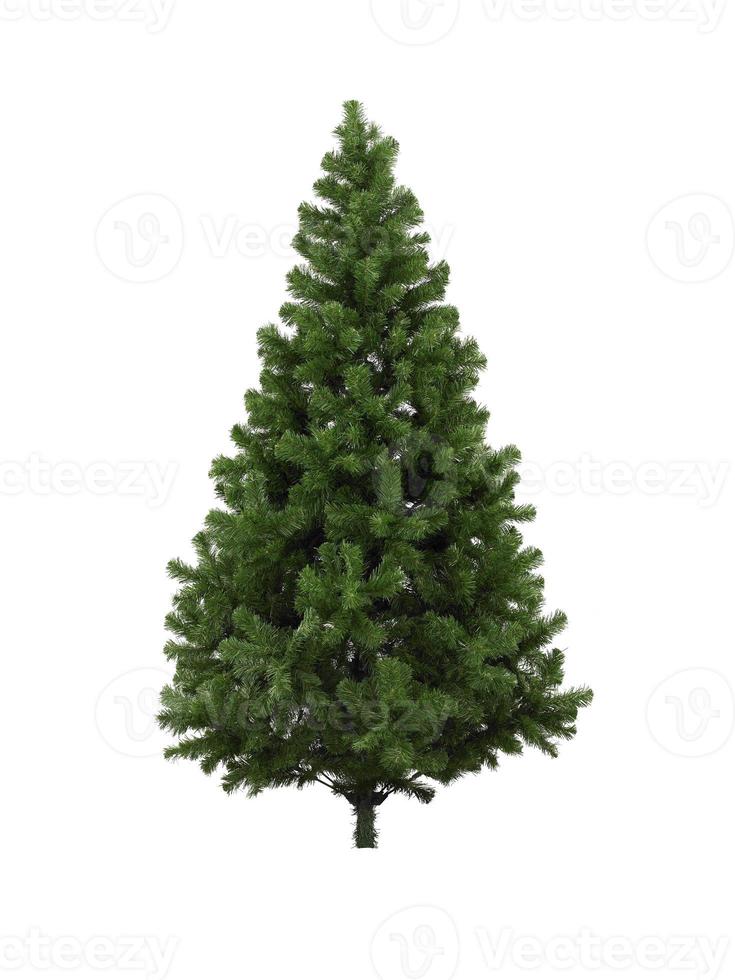 Real Christmas tree, isolated on white background photo