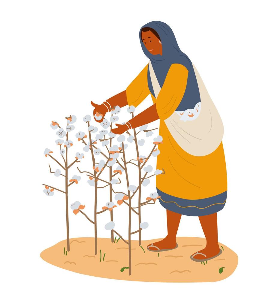 Asian Woman Collecting Cotton. Hand Drawn Flat Vector Illustration. Isolated On White.