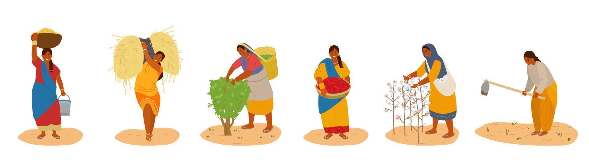 conjunto vectorial de mujeres indias trabajando. cosechar algodón, chile, maíz, trigo, recoger hojas de té, arar. agricultura tradicional. aislado en blanco vector