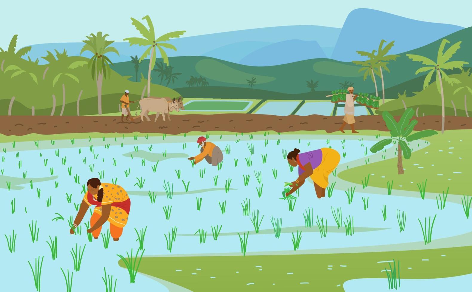 Vector Illustration Of Indian Rice Fields With Workers.Farmer Plowing Field With Pair Of Oxen, Carrying Rice Plants For Planting. Women Working In Rice Field. Authentic Traditional Agriculture.