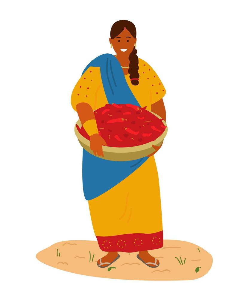 mujer india con coloridos vestidos tradicionales sosteniendo una cesta con ají. concepto de cosecha. ilustración vectorial plana. vector