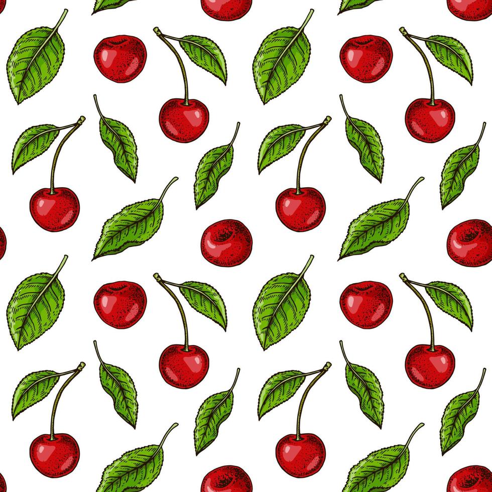 Hand drawn colorful cherry berries summer seamless pattern. Vector illustration in colored sketch style