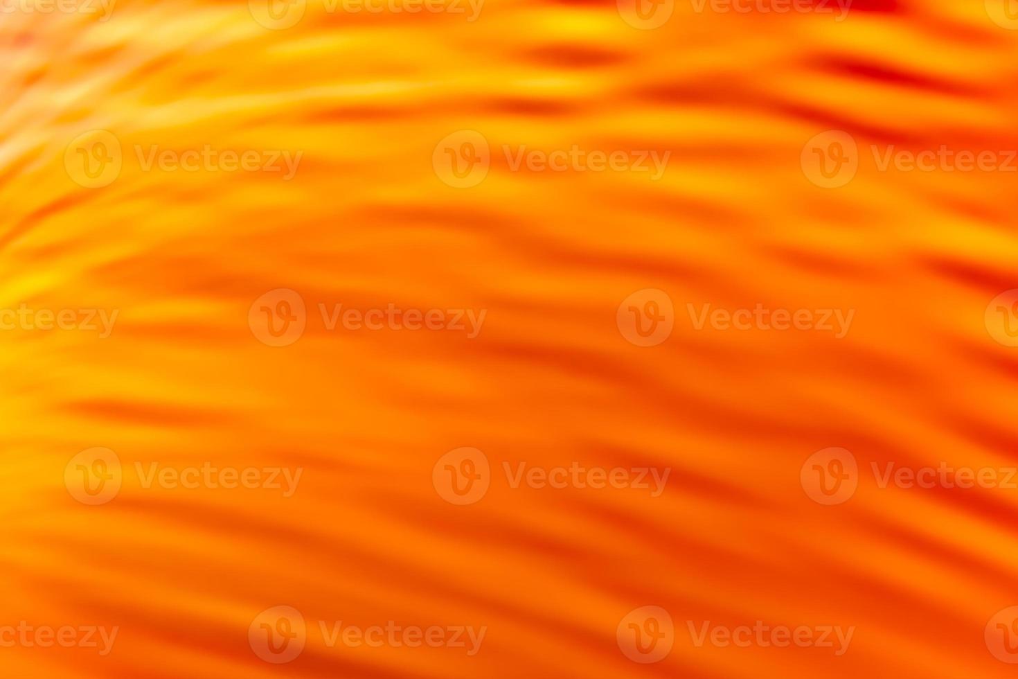 Yellow orange waves with gradient. Abstraction photo