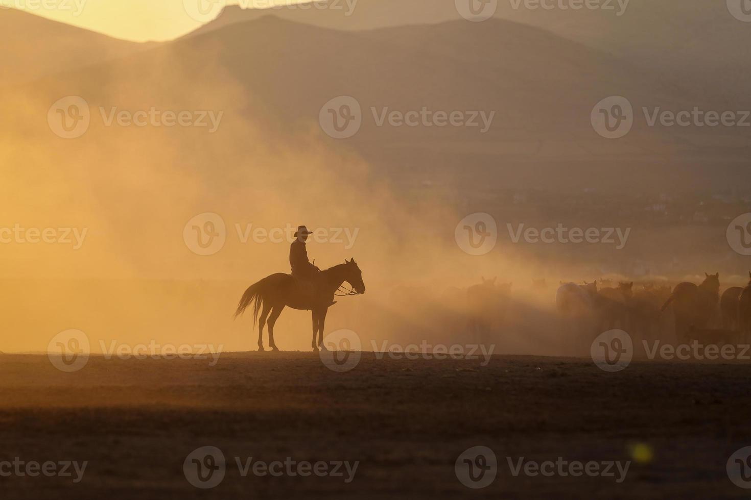 Yilki Horses Running in Field, Kayseri, Turkey photo