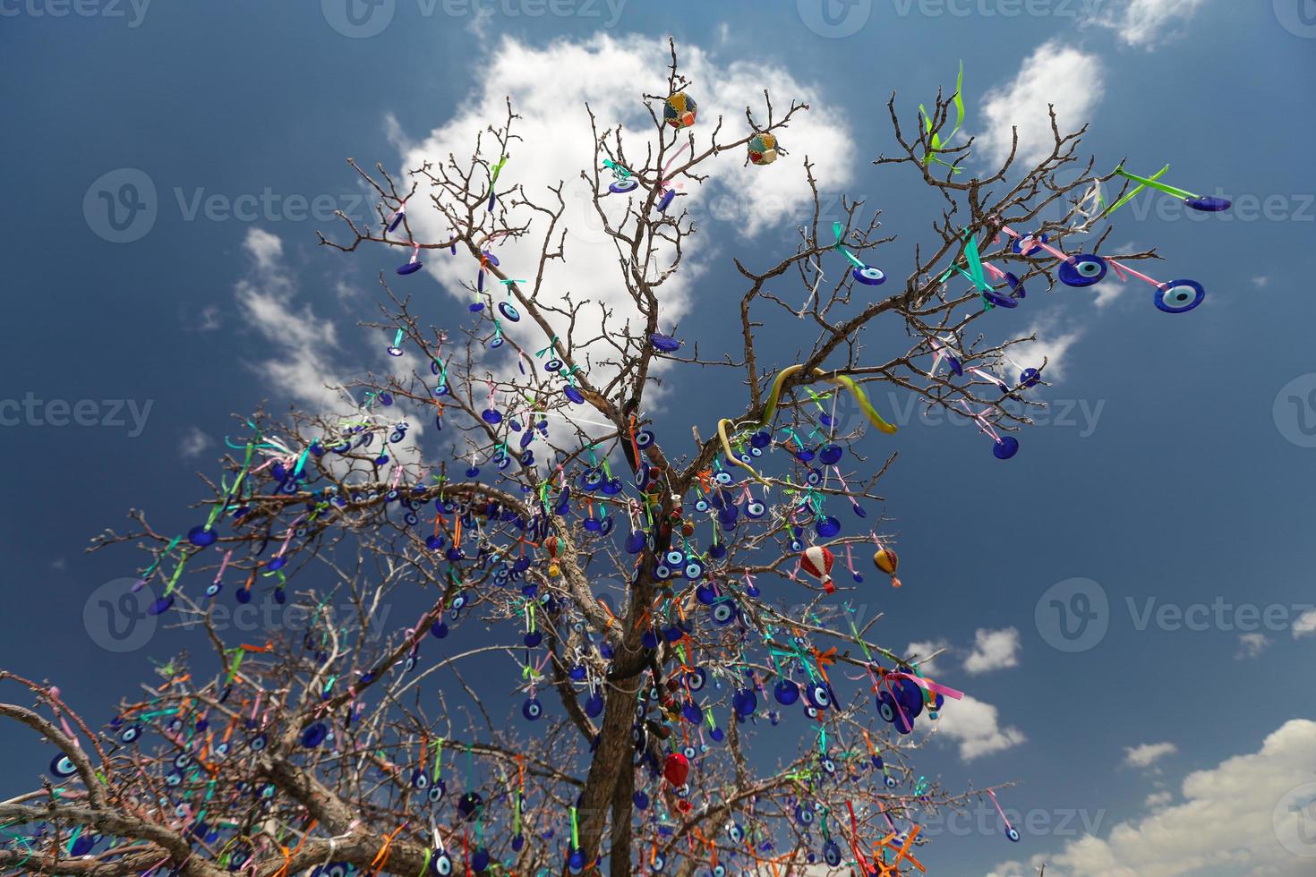 Evil Eye Beads Tree in Pigeons Valley, Cappadocia, Nevsehir, Turkey photo