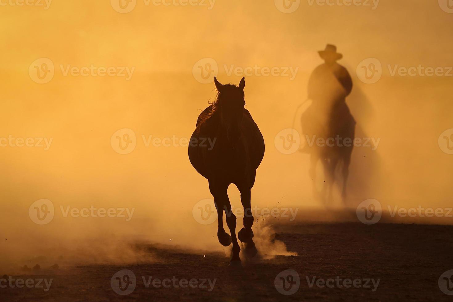 Yilki Horses Running in Field, Kayseri, Turkey photo