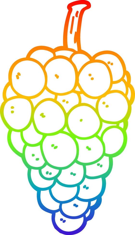 rainbow gradient line drawing cartoon grapes vector