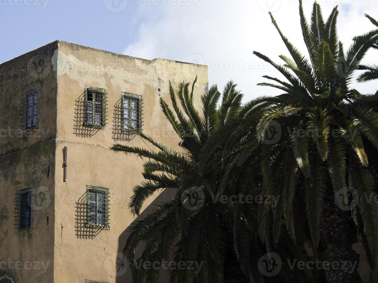 the city of tunis in tunisia photo