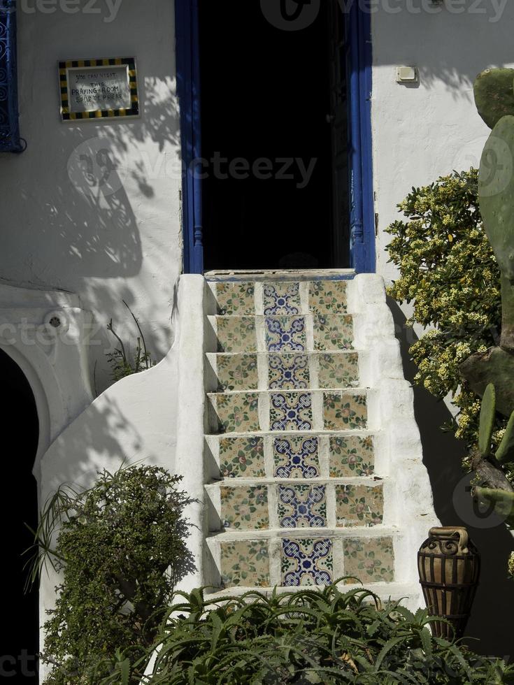 the city of tunis in tunisia photo