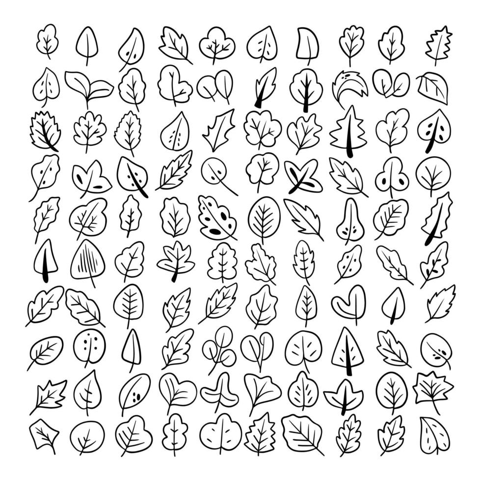 Outline icon leaf vector collection. Botanical tree floral isolated vector set